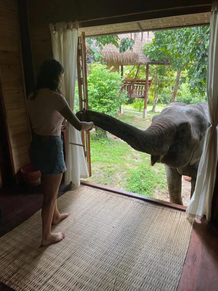 mireya y elefante